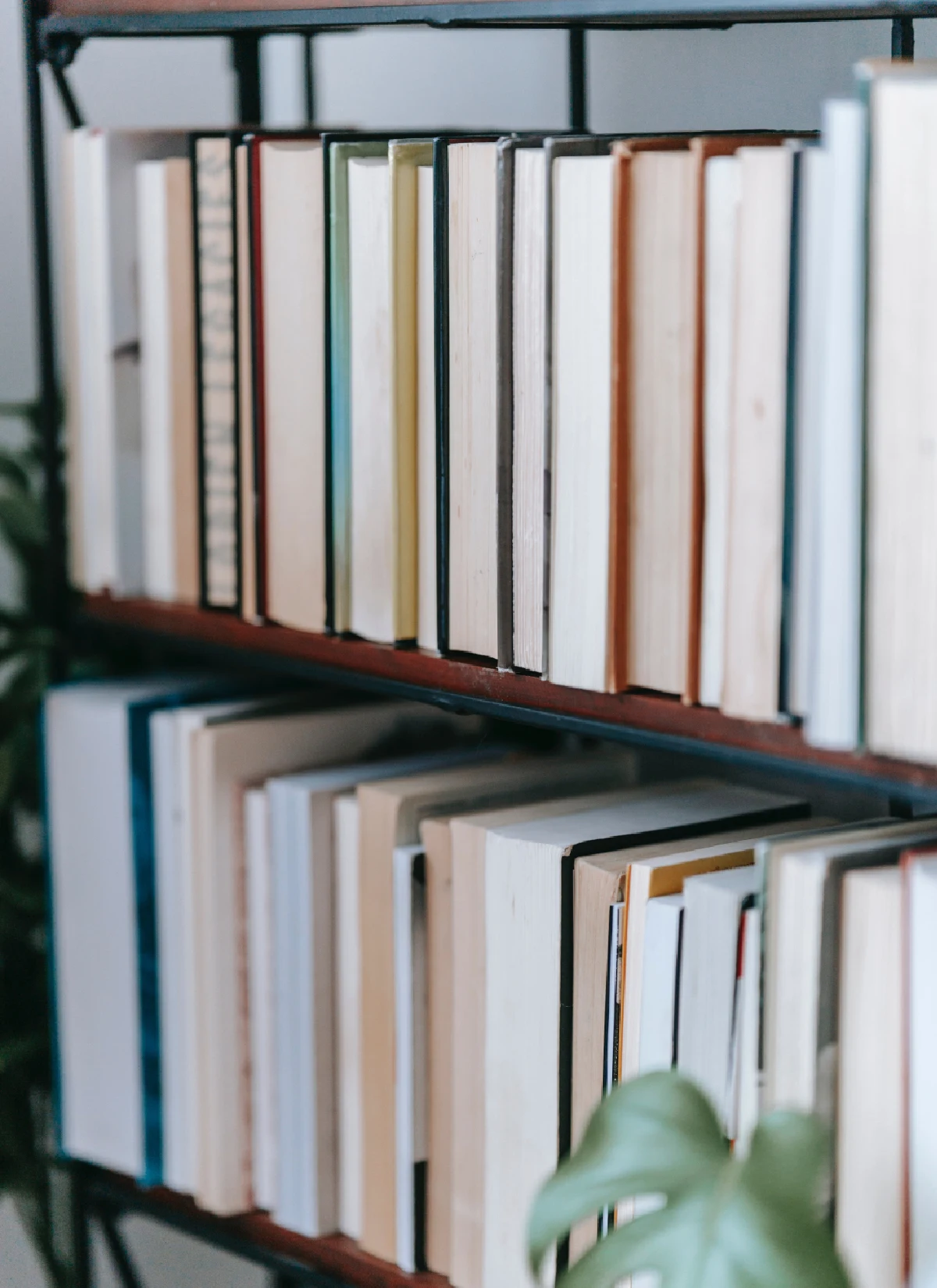 książki na półce